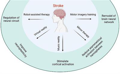 Emerging Limb Rehabilitation Therapy After Post-stroke Motor Recovery